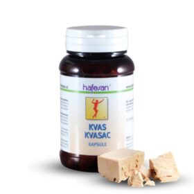 Kvasac