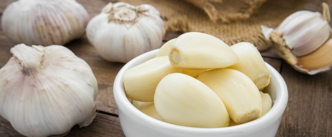 Cesen-Allium-sativum-in-njegova-antiparazitna-moc