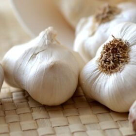 češnjak-zastita-od-bolesti